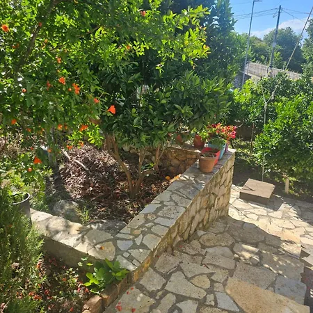 Nyaraló Geste Haus Shkodra