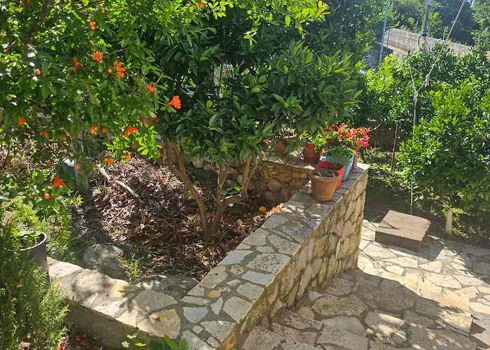 Semesterbostad Geste Haus Shkodër